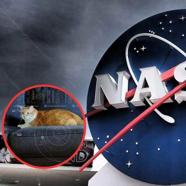 La Nasa reveló un video enviado desde 30 millones de kilómetros de distancia: proyecto para comunicación interplanetaria