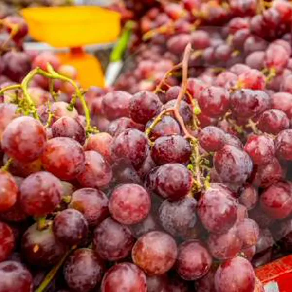 ¿Uvas rojas para los deseos del 31?, tienen una molécula que podría prevenir el cáncer