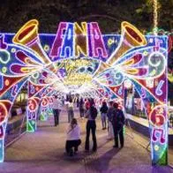 No se pierda la oportunidad de ir al último madrugón del Alumbrado Navideño.