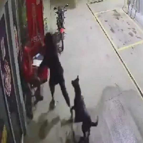 Un perro se volvió viral luego de ayudar a defender una estación de gasolina, junto con uno de los trabajadores. Vea el video.