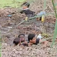 Impactante video: migrantes mueren ahogados en el fango tratando de cruzar a Estados Unidos.