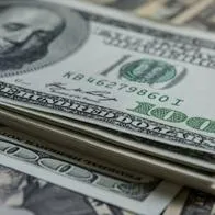 Dólar podría llegar a $3.8000 o $4.100, según Banco de la República y expertos