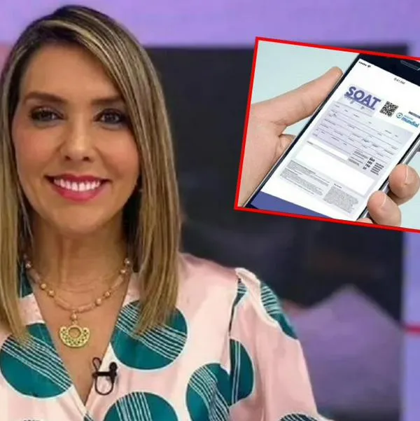 Mónica Rodríguez boleteó nombre y número que usan para estafar con el Soat: "No caigan"
