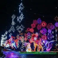 Cómo estará el clima en Medellín este viernes 29 de diciembre de 2023.