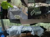 Norte de Santander: desmantelan cristalizadero de coca avaluado en $1000 millones