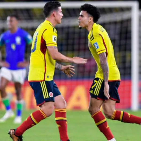 Los mejores goles de la Selección Colombia en el 2023; la 'Tricolor' comandada por Néstor Lorenzo terminó el año invicta.