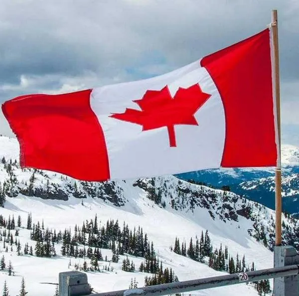 ¿Cuáles son las visas que puede solicitar para ir a Canadá en 2024 y sus requisitos?