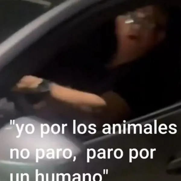 Momento en el que un conductor que atropelló a un perro en Jamundí, Valle, justifica lo que hizo y escapó