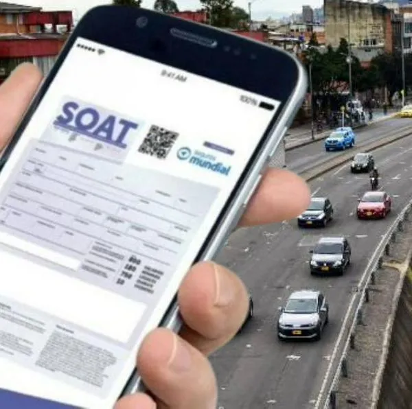 
El Soat en Colombia podría no tener descuento de 50 %: ministro de Transporte no descarta eliminar el beneficio para dueños de carros y motos.