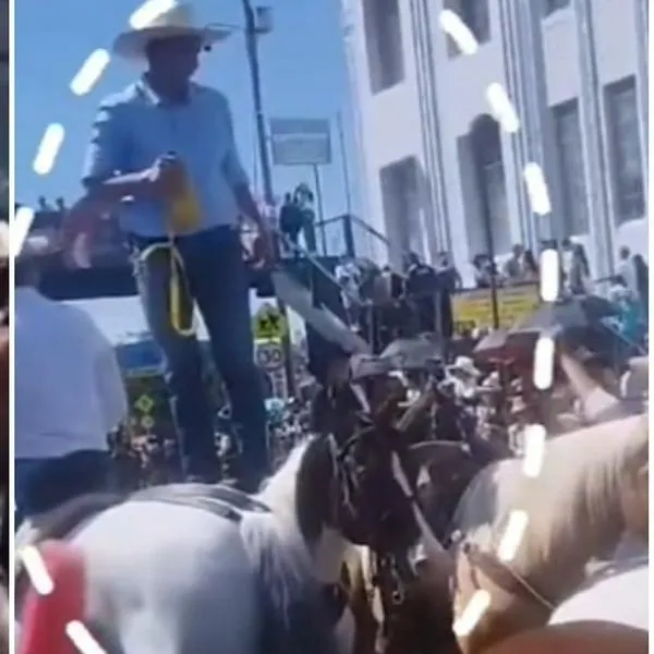 "Cada año es lo mismo": Un caballo murió en medio de la cabalgata en la Feria de Manizales