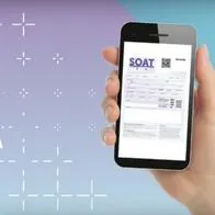SOAT en Colombia: Evite caer en estafas con estos consejos