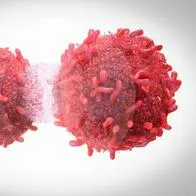 Cáncer en personas podría aumentar debido a genes específicos, según expertos