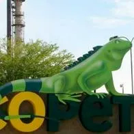 Sigue el remezón en Ecopetrol: Hay importantes cambios de alta gerencia