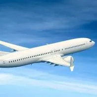 Foto de avión por Emergencia en avión de ANA Airlines con pasajero borracho que mordió a azafata en vuelo
