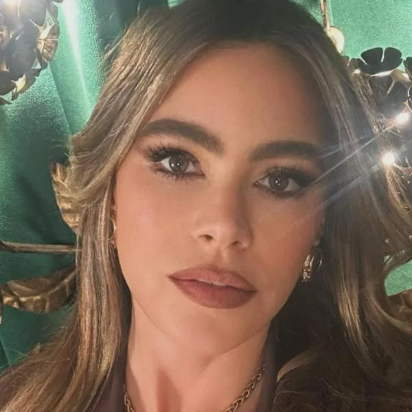 Sofía Vergara en Colombia luego de dos años: la actriz compartió foto en redes