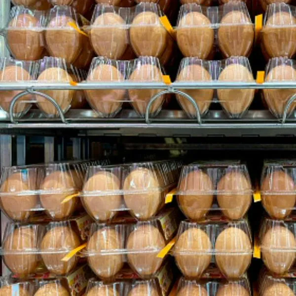 Huevo A y AA 2024: en cuánto se consigue, luego de que bajaran los precios
