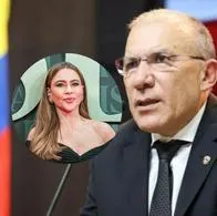 Roy Barreras criticó serie en la que sale Sofía Vergara, Griselda: qué dijo