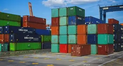 DIAN no sancionará a empresas por dificultades en plataforma aduanera