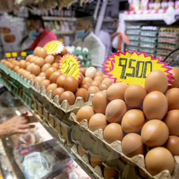 Luego de la baja del precio del huevo en Colombia, varias ciudades bajaron su valor más de lo usual.