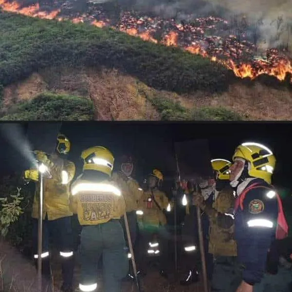 Preocupante: Este es el balance de incendios forestales en Colombia