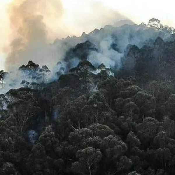 Autoridades recomiendan uso de tapabocas en inmediaciones del incendio de los cerros