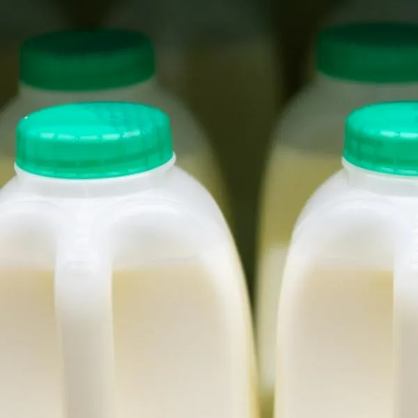 Por qué leche está barata en Colombia: Fedegan y qué tanto bajó precio