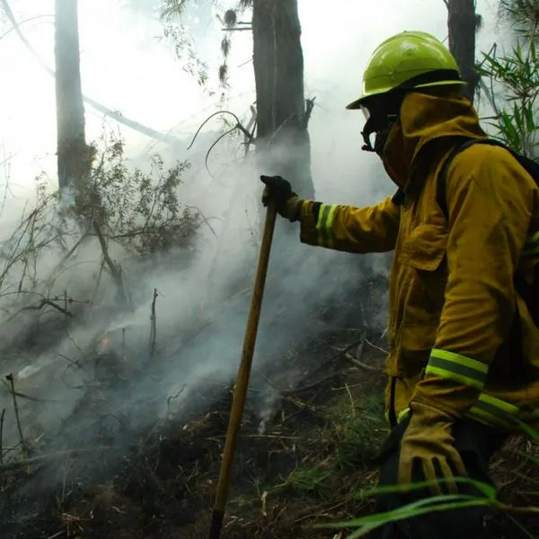 Las autoridades invitan a la ciudadanía a evitar conductas que puedan ser catalizadoras de eventuales incendios forestales en Bogotá.