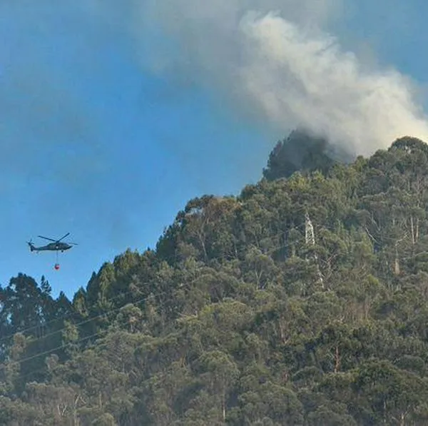 Gran incendio forestal en los Cerros Orientales habría sido provocado por una fogata