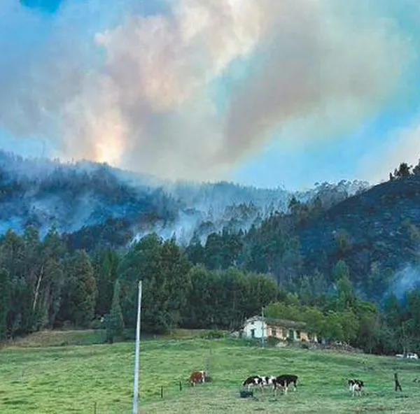 Declararán calamidad pública en Cundinamarca por más de 110 incendios forestales