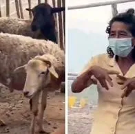 Ella es la mujer que, en un incendio en Santander, se negó a dejar su rancho por no dejar abandonados a sus animales