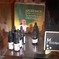 Capturan en España a traficantes de psicoactivos: ayahuasca, mescalina y peyote