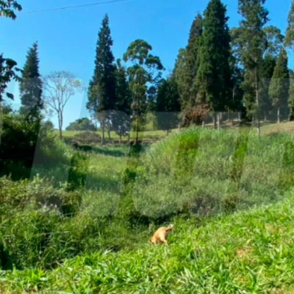 En finca de Caldas encontraron a un hombre muerto, lo asesinaron a balazos