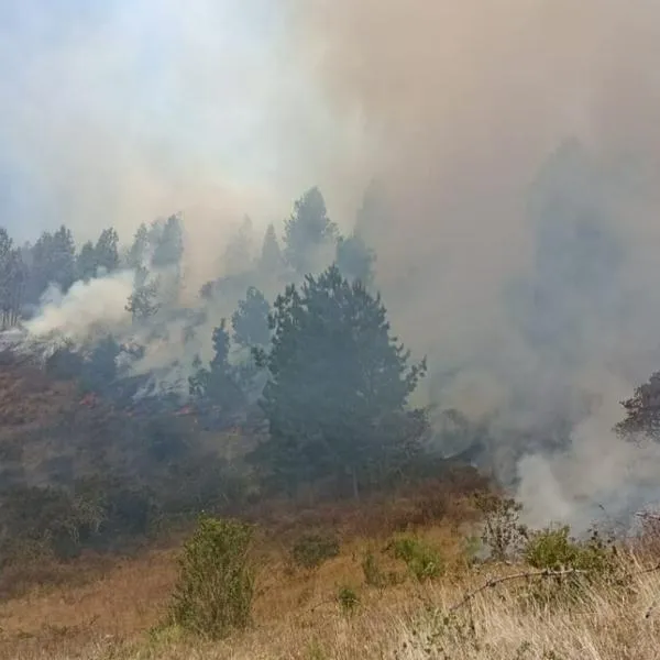 En Cundinamarca, un hombre fue capturado luego de quemar zona boscosa cuando hay alerta de incendios