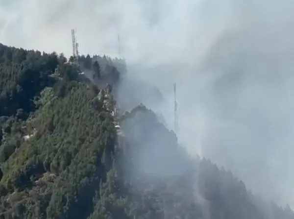Incendios forestales en Bogotá: comerciantes dicen que han afectado las ventas