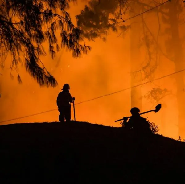 Encuentran galones de gasolina en la montaña que se está incendiando en Bogotá, en el cerro El Cable. Hay algunos sospechosos. 