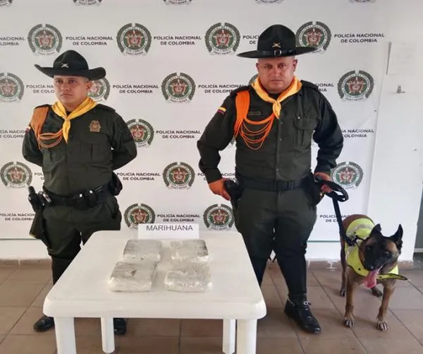 Incautan 4 kilos de marihuana en el terminal de Honda, en el Tolima