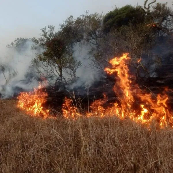 Cundinamarca, Huila y Boyacá; departamentos más afectados por 17 incendios activos en Colombia