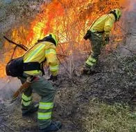 Bomberos de Colombia advierten con hacer paro nacional ante la crisis de incendios forestales: se manifestarían en Bogtoá este 30 de enero.