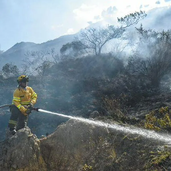 Foto de trabajos de bomberos en cerros, en nota de que el incendio en el cerro El Cable se originó por una botella de vidrio, dice Galán