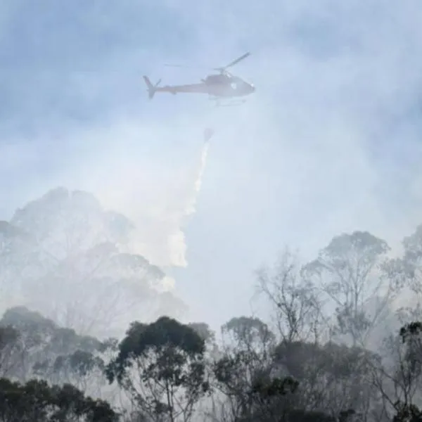 Apagar los incendios en Colombia han costado más de 3.000 millones de pesos a la FAC y al Ejército.