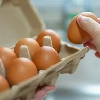 Huevo en Colombia con precio que se pondrá caro por demanda: Fenavi