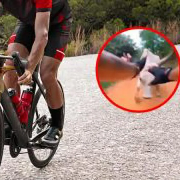 En video: ciclista que se encontraba en ruta fue embestido por una vaca