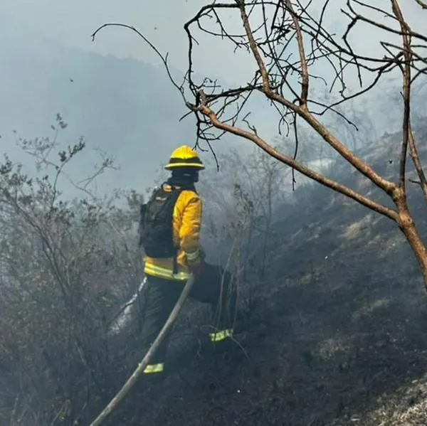 Foto de incendio forestal en Usme