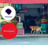 tiendas de barrio