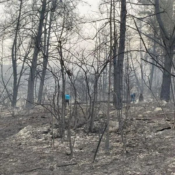 Foto de incendio forestal en Sopó, Cundinamarca
