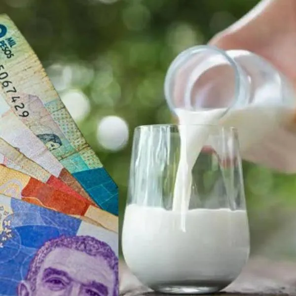 Los efectos del fenómeno de El Niño, que ha golpeado con fuerza al sector ganadero, podrían afectar el precio de la leche pronto en Colombia.
