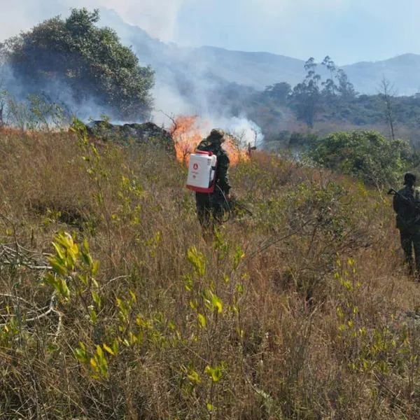 Incendios forestales en Colombia: qué hacer en una emergencia y cómo reportarla