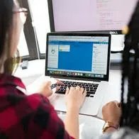 ¿Quiere estudiar? La embajada de Nueva Zelanda abre convocatoria de becas