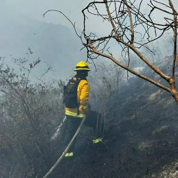 Foto de incendio forestal en cerro 'El cable', en Bogotá