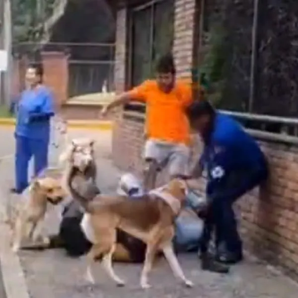 Fue victima de robo en Bogotá cuando paseaba a 3 perros y con ayuda de estos atrapó al ladrón